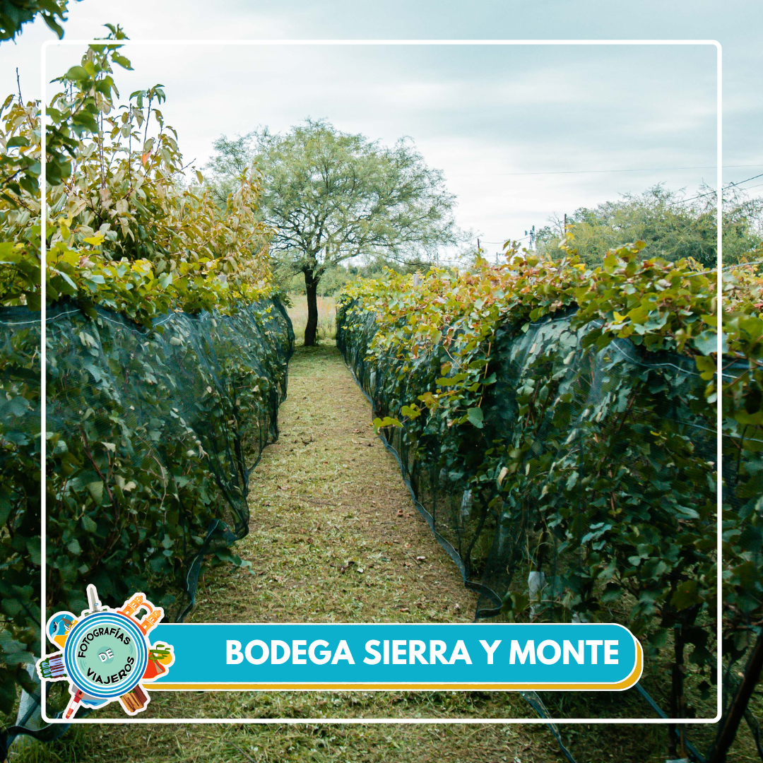 Bodega sierra y monte