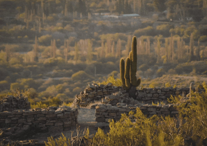 En el norte riojano, descubrimos “San Blas de Los Sauces”