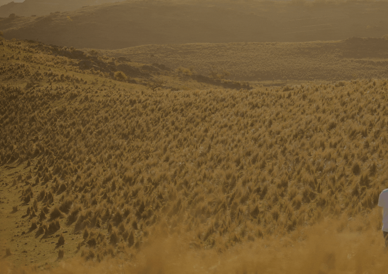 Cinco lugares para disfrutar en el Valle de Punilla