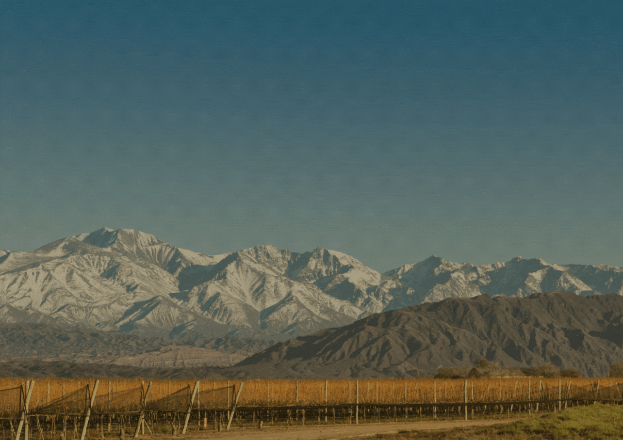 Un par de cafés, al píe de los Andes